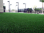 Commercial Lawn